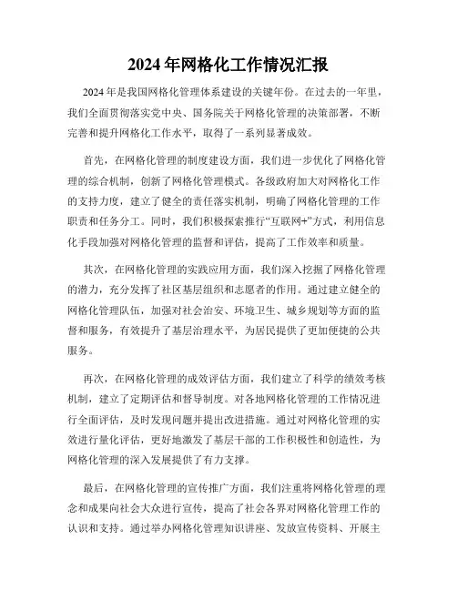 2024年网格化工作情况汇报