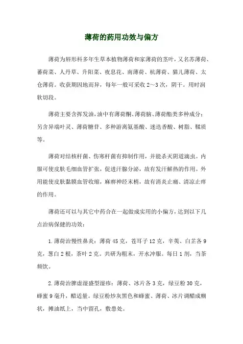 薄荷的药用功效与偏方