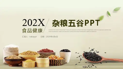 食品健康杂粮五谷PPT模板