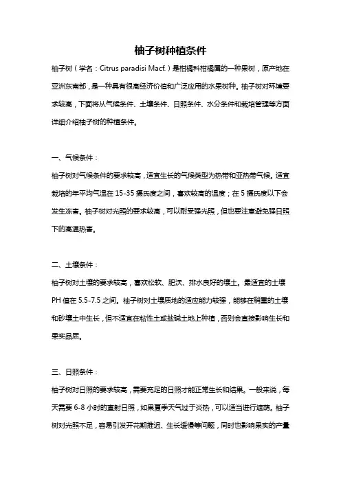 柚子树种植条件