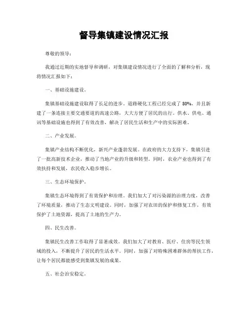督导集镇建设情况汇报