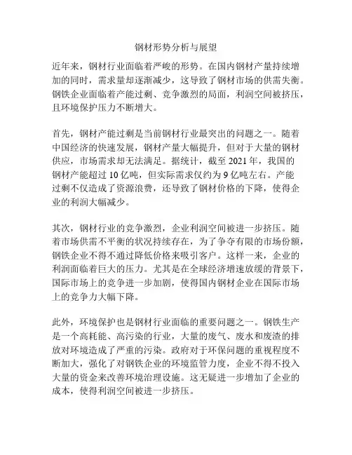钢材形势分析与展望