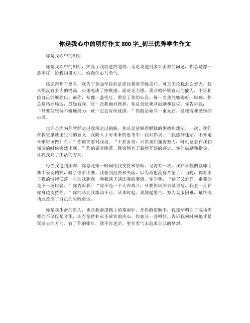 你是我心中的明灯作文800字_初三优秀学生作文