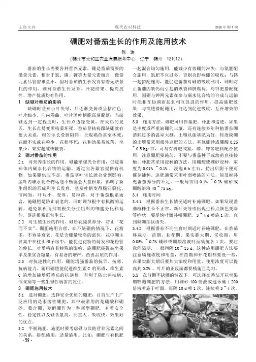 硼肥对番茄生长的作用及施用技术