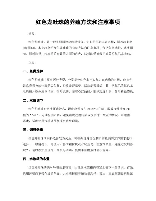 红色龙吐珠的养殖方法和注意事项
