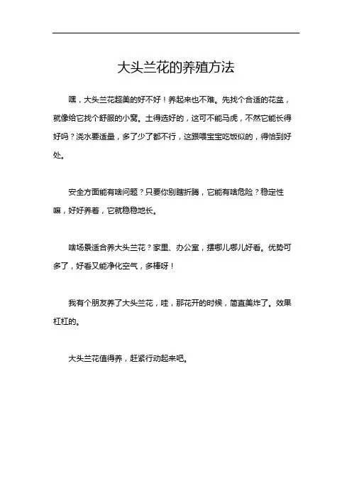 大头兰花的养殖方法
