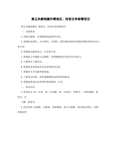 第五次解剖操作臂前区、肘前区和前臂前区