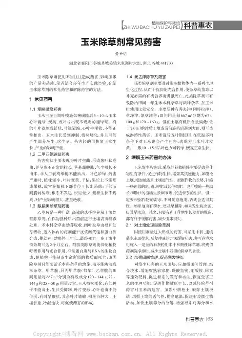 玉米除草剂常见药害