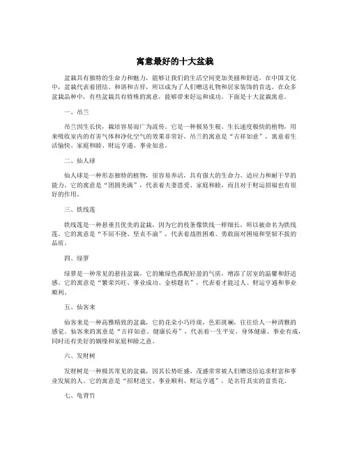 寓意最好的十大盆栽