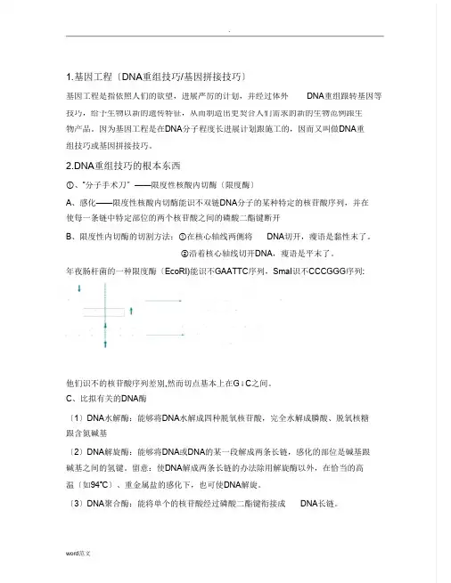 高中生物专题一基因工程详细知识点人教版选修