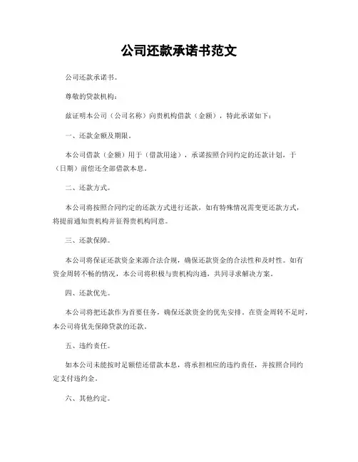 公司还款承诺书范文