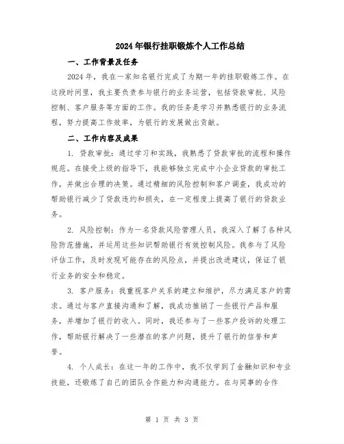 2024年银行挂职锻炼个人工作总结
