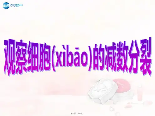 高考生物大一轮复习 实验专题 观察细胞的减数分裂课件 苏教版