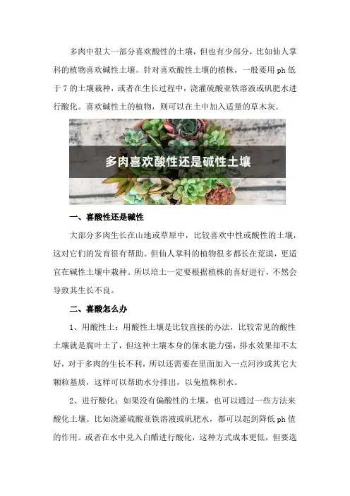 多肉喜欢酸性还是碱性土壤,白醋喷多肉
