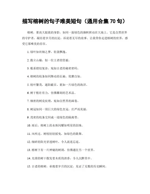 描写榕树的句子唯美短句(精选合集70句)