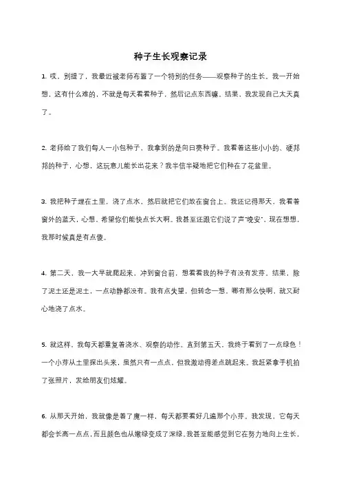 种子生长观察记录