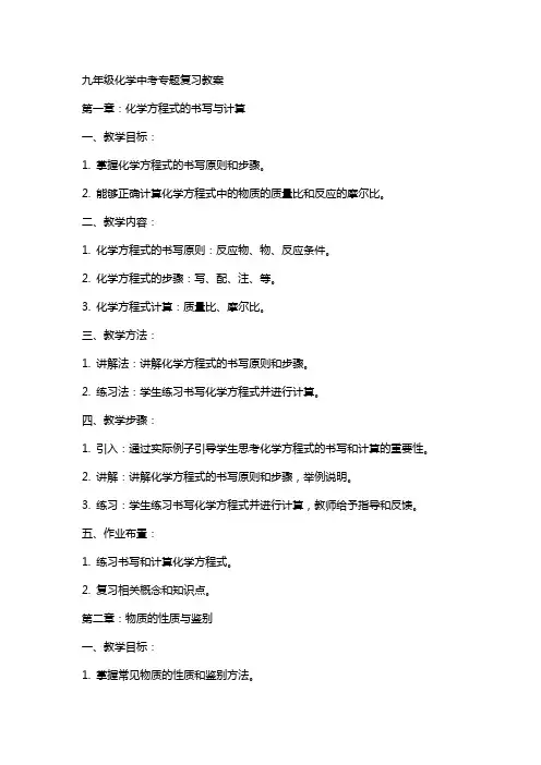 九年级化学中考专题复习教案