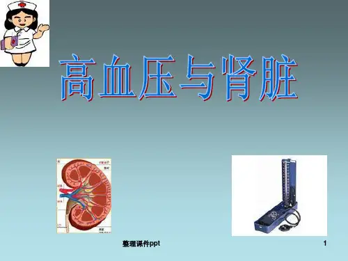 《高血压与肾脏》PPT课件