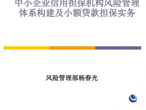 中小企业信用担保机构风险管理体系构建及小额贷款担保实务