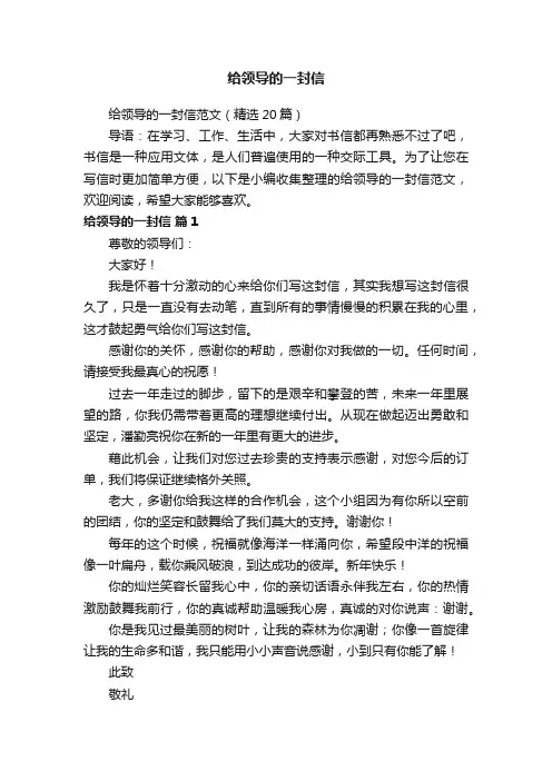给领导的一封信范文（精选20篇）