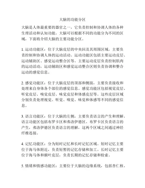 大脑的功能分区