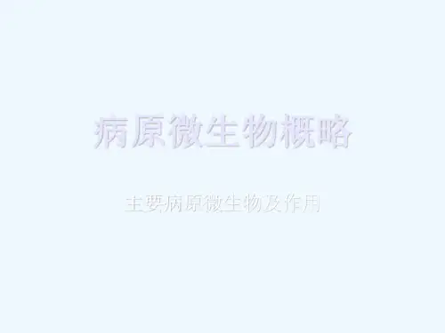 动物微生物常见病原菌
