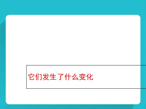 四年级下册科学课件-《它们发生了什么变化》｜冀教版 (共16张PPT)