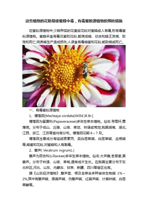 这些植物的花粉易使蜜蜂中毒，有毒蜜粉源植物的预防措施