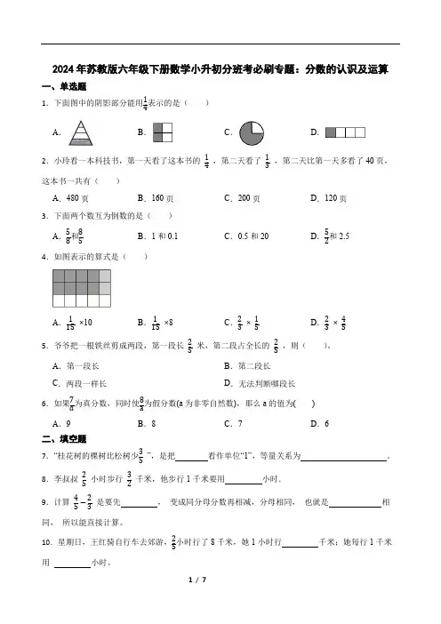 分数的认识及运算(专项训练)-2023-2024学年六年级下册数学苏教版