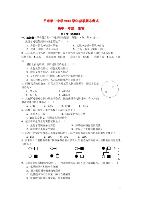 芒市第一中学2016学年春季期末考试高中一年级  生物