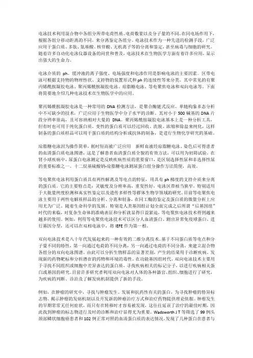 电泳技术