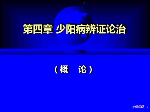 少阳病