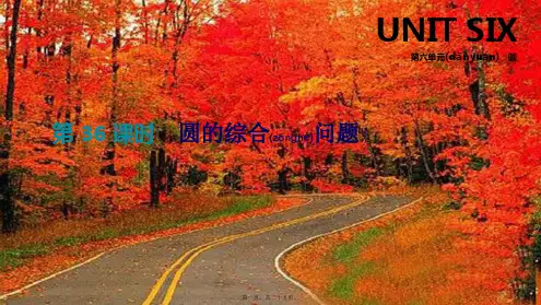 中考数学总复习 第六单元 圆 第36课时 圆的综合问题课件