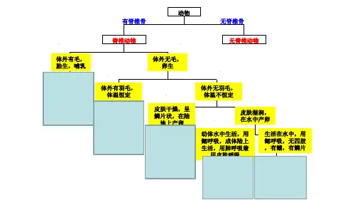 浙教版初中科学七上.3常见的动物