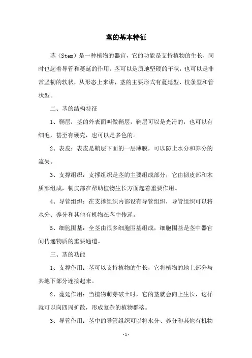 茎的基本特征