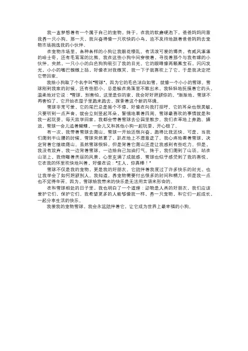 我的宠物日记