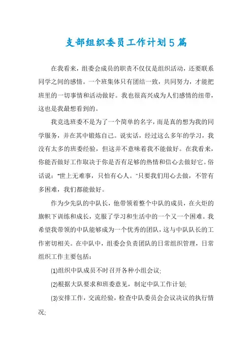 支部组织委员工作计划5篇