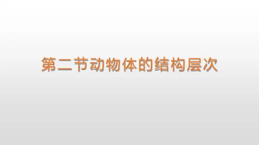 第二节《动物体的结构层次》初中生物公开课PPT课件