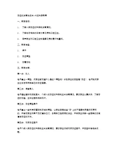 牙齿的发育与成长大班科学教案