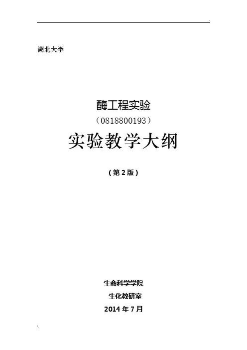酶工程实验大纲