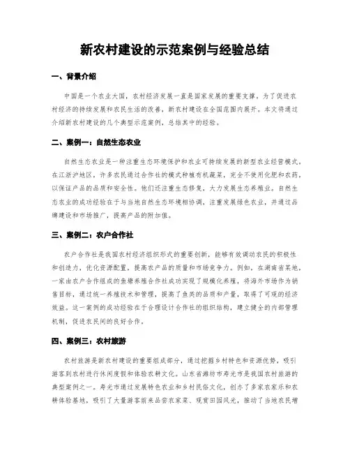 新农村建设的示范案例与经验总结