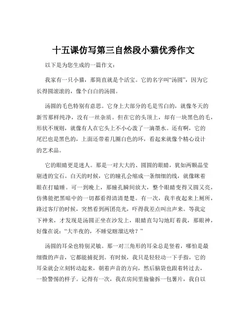 十五课仿写第三自然段小猫优秀作文