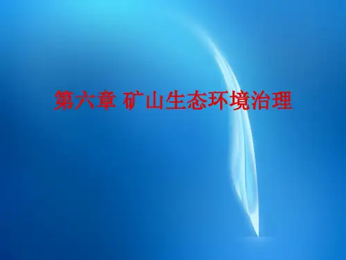 矿山环保课件ppt  第六章 矿山生态环境治理