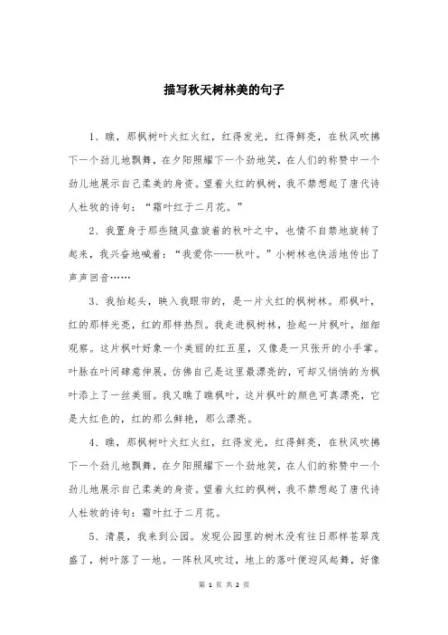 描写秋天树林美的句子