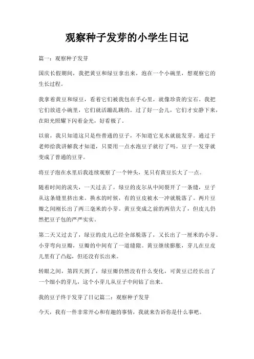 观察种子发芽小学生日记