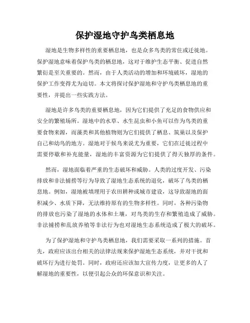 保护湿地守护鸟类栖息地