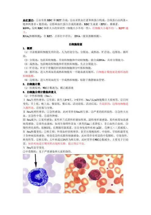 检验职称系列---白细胞检查
