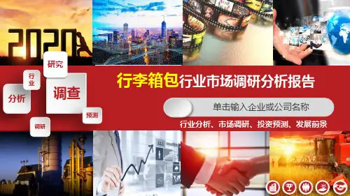 2020行李箱包行业调查研究报告PPT