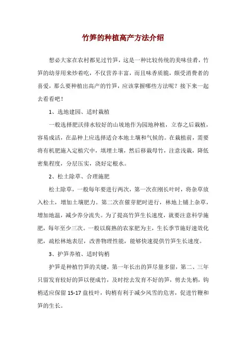 竹笋的种植高产方法介绍