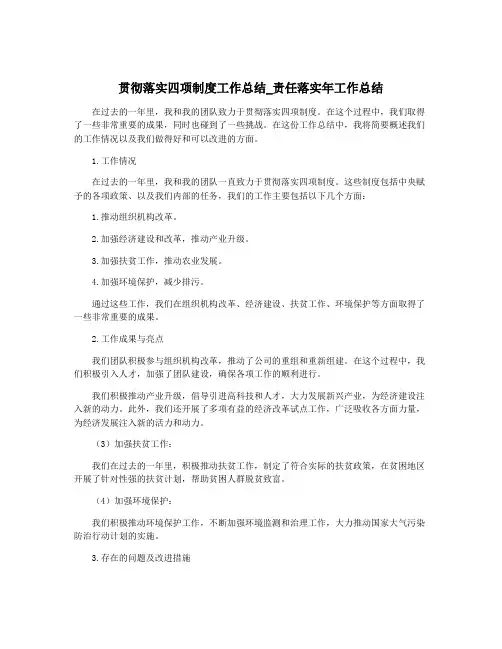 贯彻落实四项制度工作总结_责任落实年工作总结
